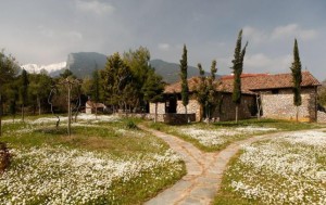 Τα μονοπάτια  της Άνοιξης,  ο  Οδυσσέας  Ελύτης και ο Κοσμάς ο Αιτωλός.