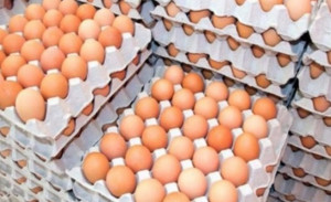 ΠΡΟΣΟΧΗ- Διατροφικό σκάνδαλο με τα αυγά στην Ευρώπη