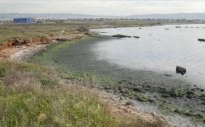 AIGINIONEWS: Ανησυχία για τη ρύπανση του Θερμαϊκού στην ακτή Καλοχωρίου